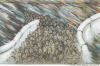 East Side Gallery Berlin